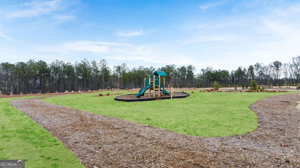 237 Sound Circle Stockbridge, GA 30281 - Photo 59 of 67