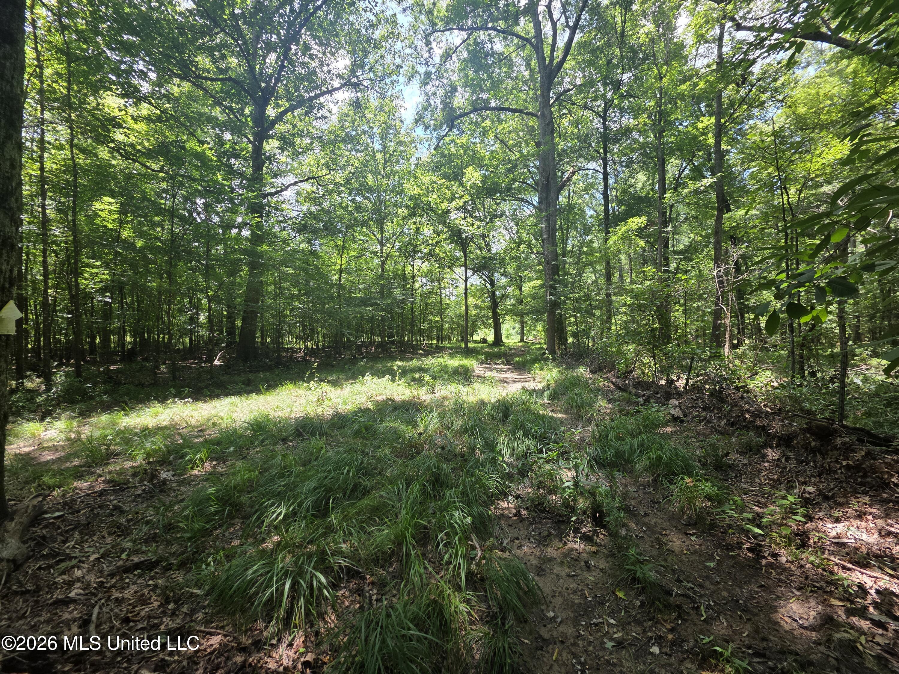 538 East Scrd Morton, MS 39117 - Photo 28 of 30 37118