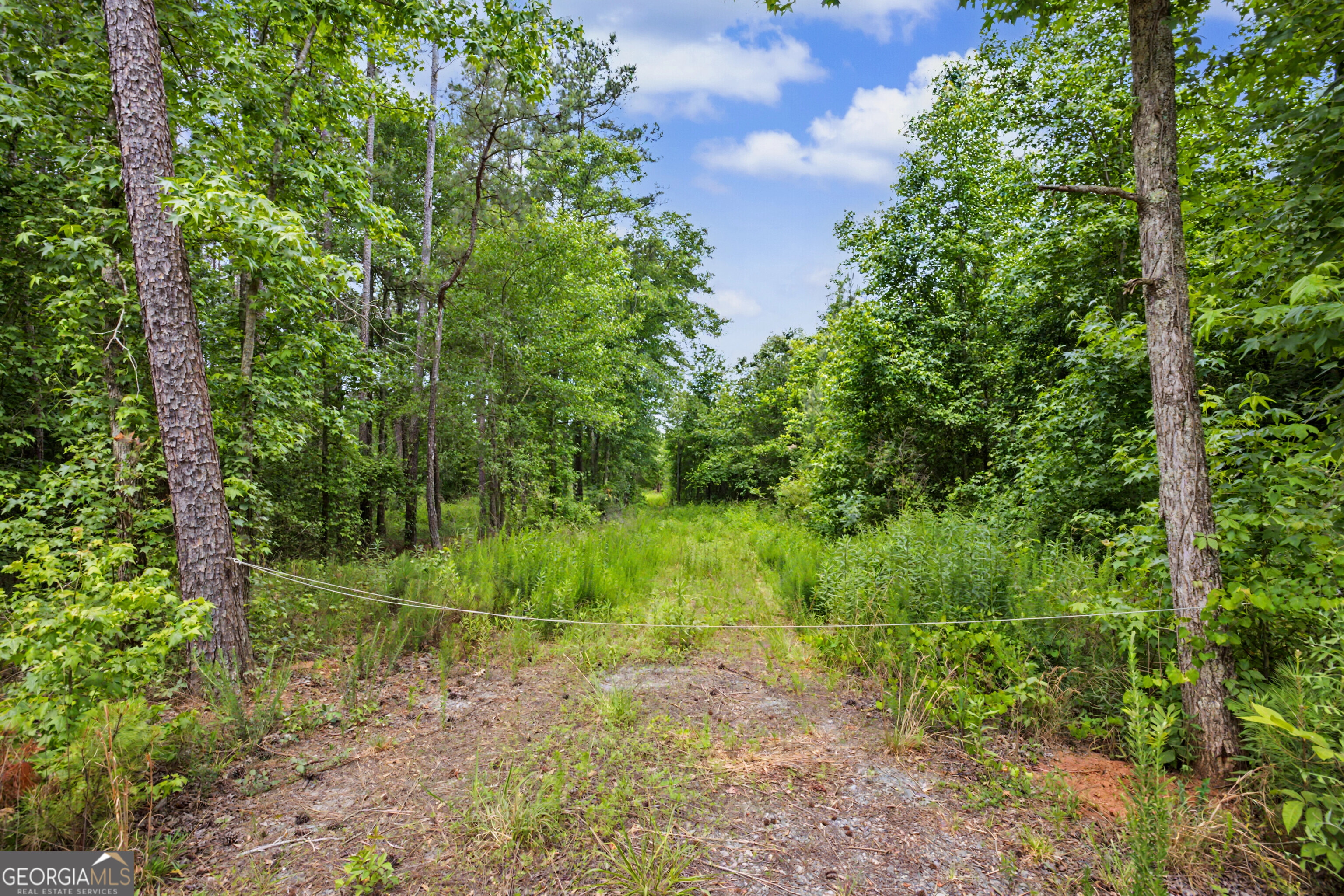0 Perkins Road Barnesville, GA 30204 - Photo 4 of 13