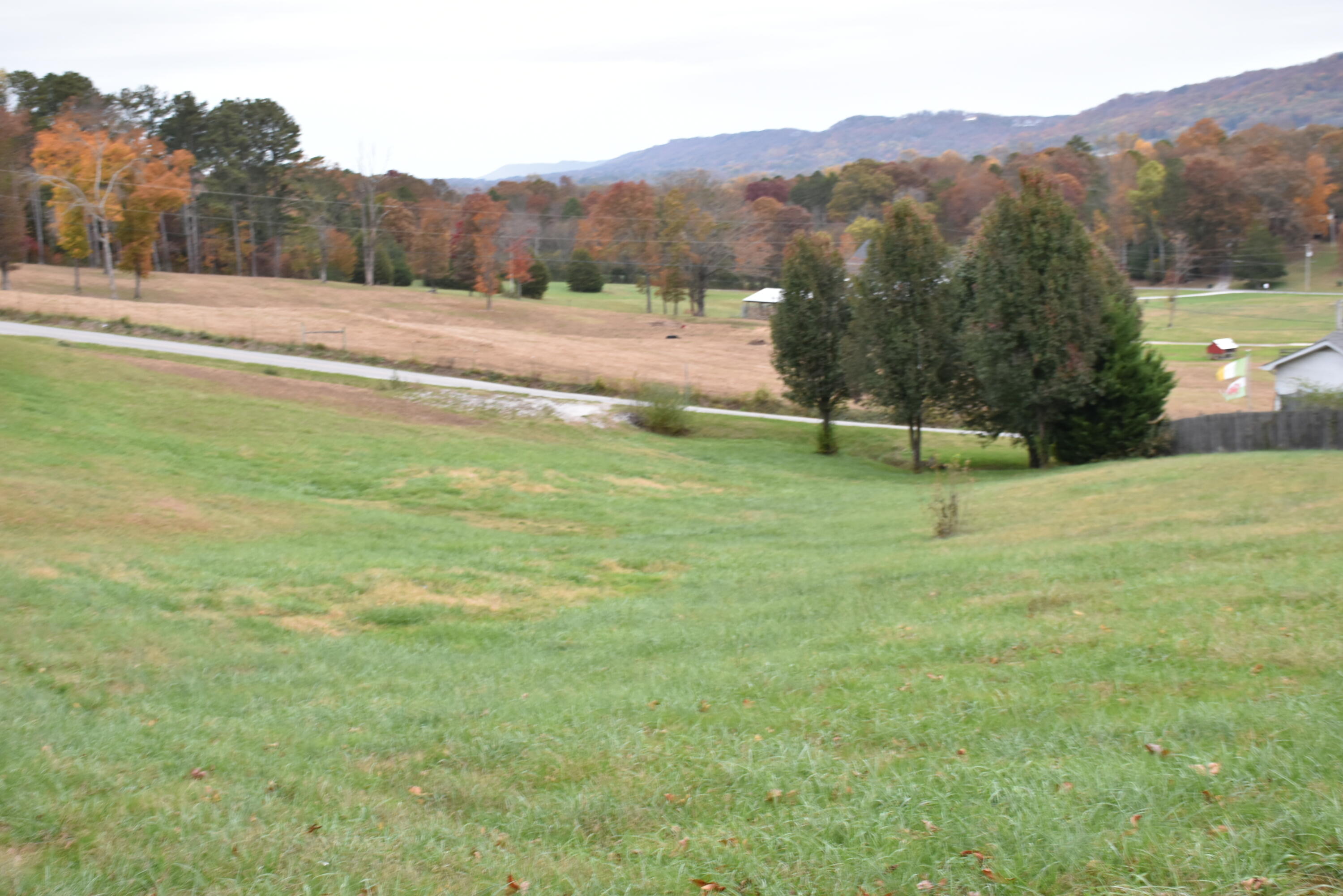 0 Saunders Road, Unit 63 Ringgold, GA 30736 - Photo 3 of 5 Middle Lot View