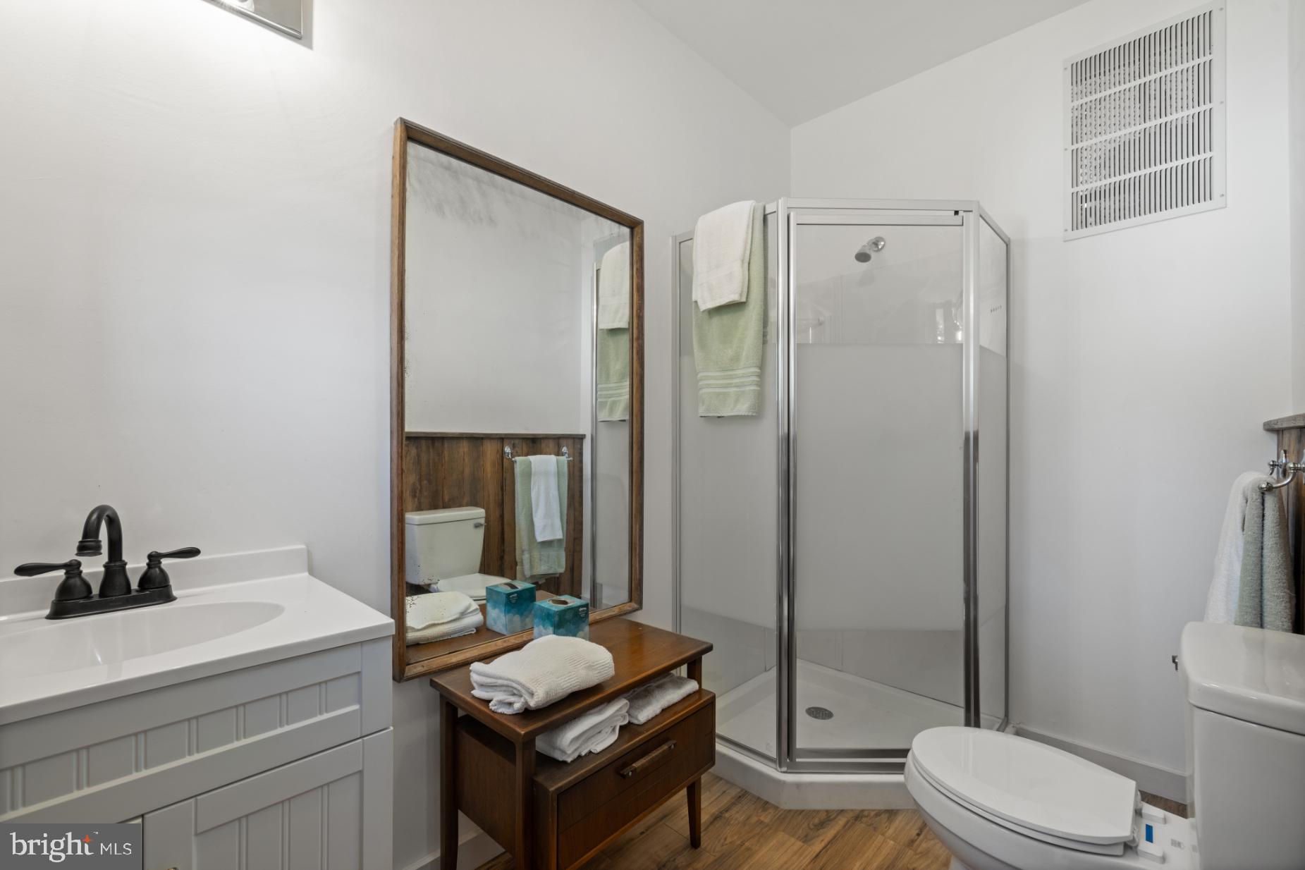22540 Blue Ridge Mountain Road Paris, VA 20130 - Photo 15 of 42 With shower