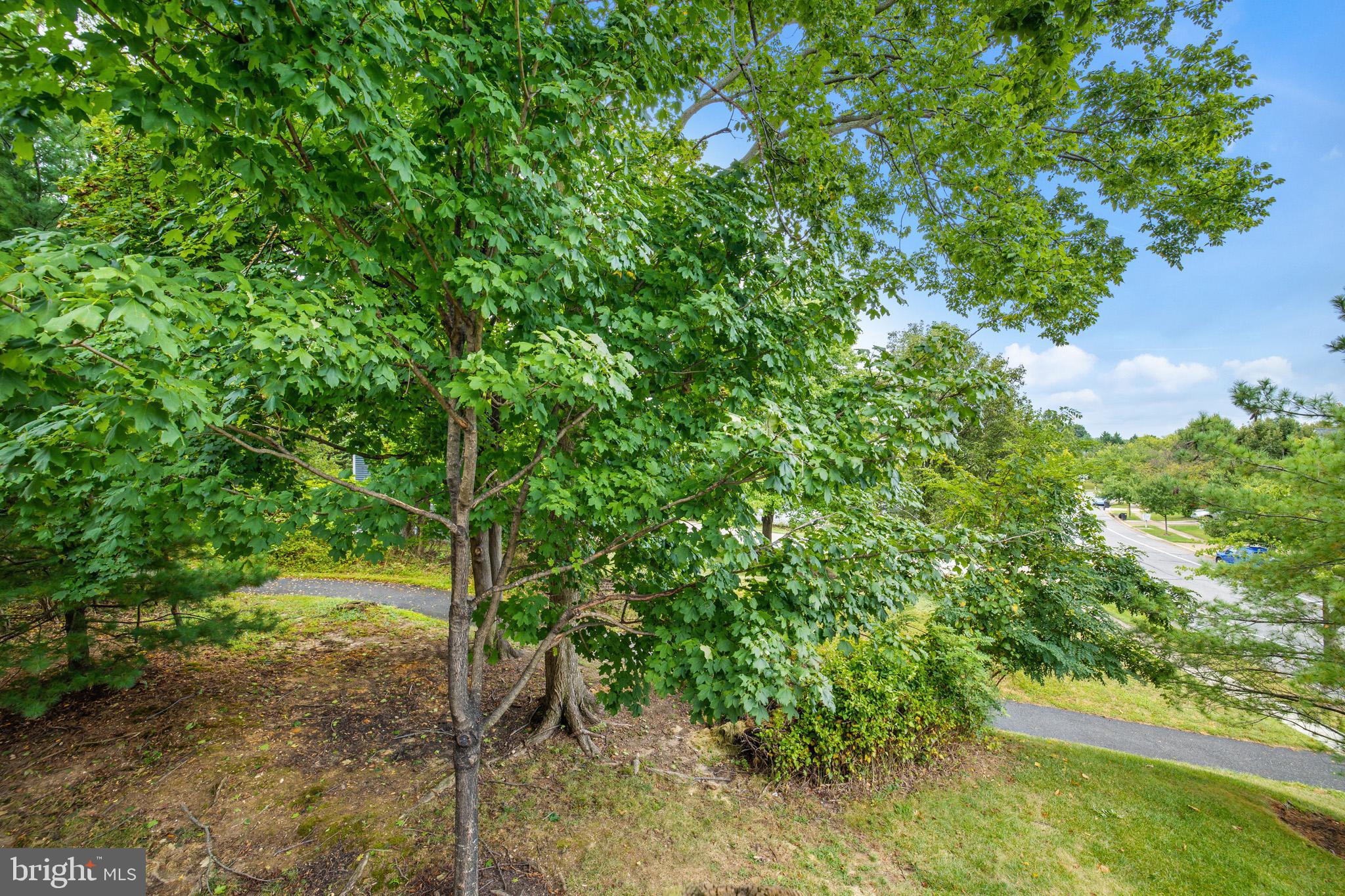 6100 Cliffside Trail Columbia, MD 21045 - Photo 42 of 47