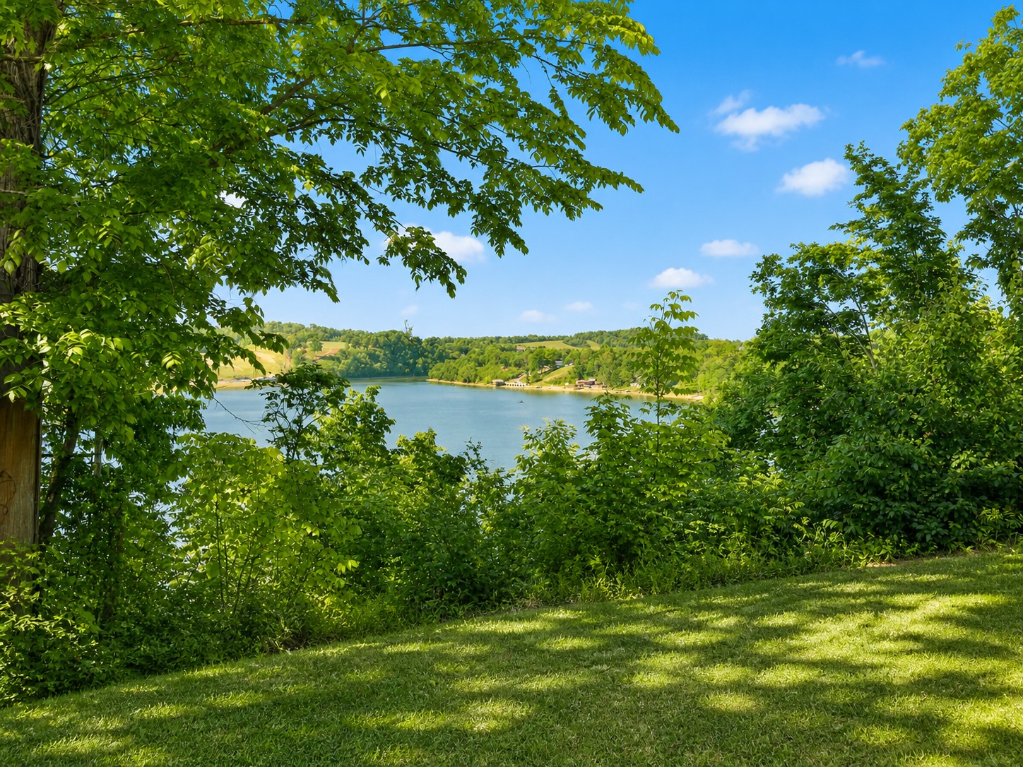 743 South Austin Springs Road Johnson City, TN 37601 - Photo 11 of 27