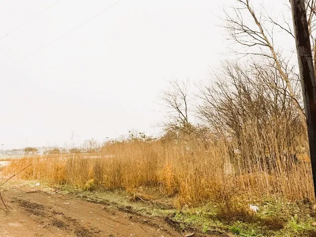 $52,599 | 5 Salt Lake Drive, Bartlett, TX 76511