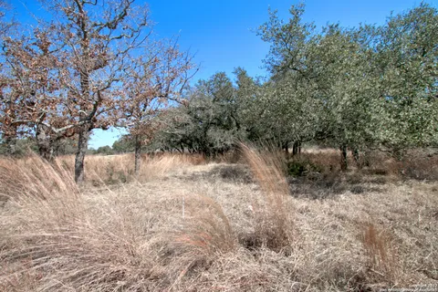 $186,000 | 823 Mystic Parkway, Spring Branch, TX 78070