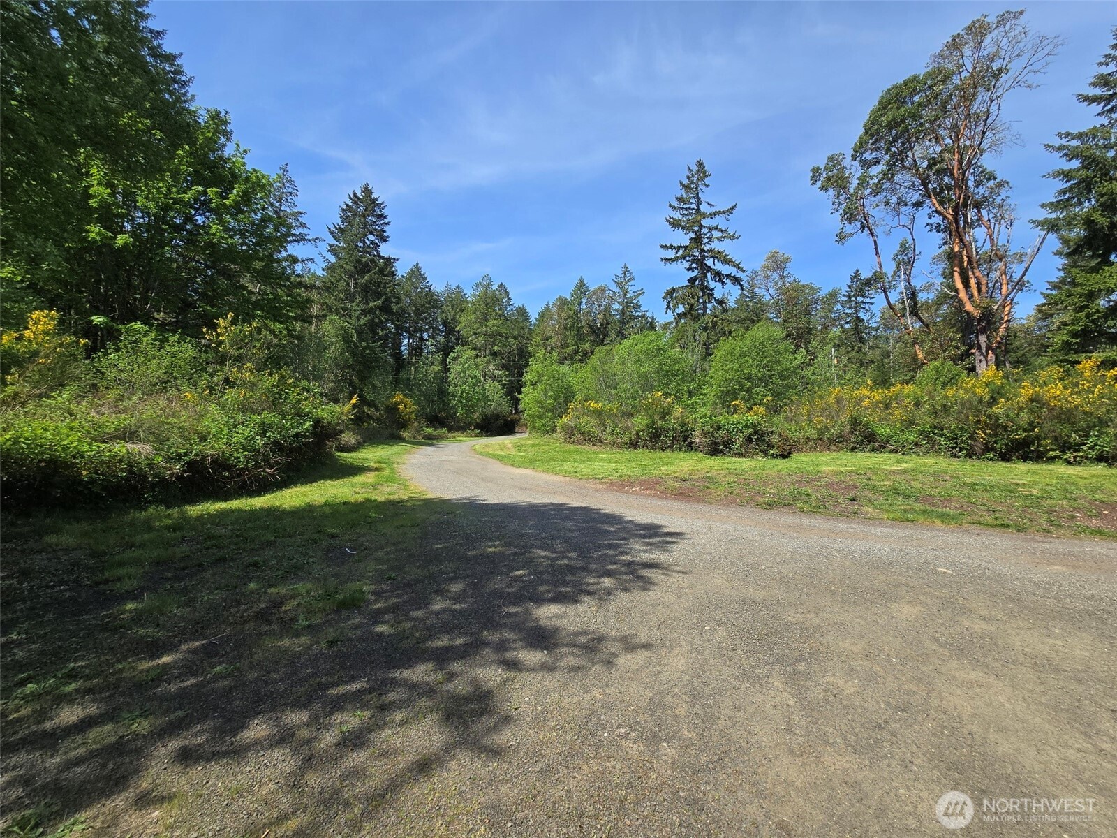 6611 Crescent Beach Road Northwest Vaughn, WA 98394 - Photo 7 of 17 a view of a yard with a tree