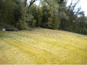 104 Montvue Road Bristol, TN 37620 - Photo 15 of 18 Photo 15