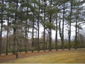 104 Montvue Road Bristol, TN 37620 - Photo 18 of 18 Photo 18