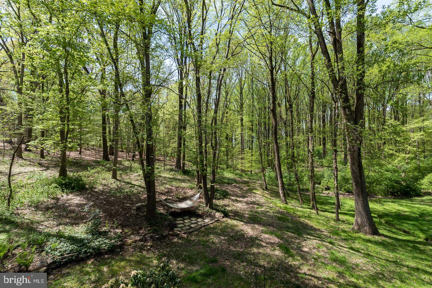 23 Ringfield Road Chadds Ford, PA 19317 - Photo 24 of 29 Views of Rear Yard with Access to Walking Trails