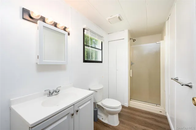 a bathroom with a sink mirror vanity and toilet