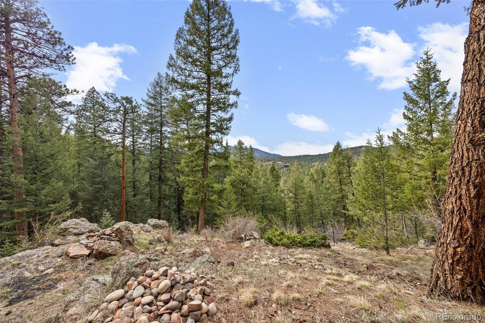 27891 Columbine Road Evergreen, CO 80439 - Photo 39 of 50 Gallery Image 39