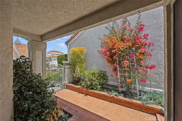 a view of a small yard