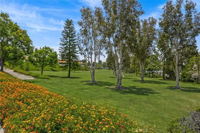 a view of a park with trees