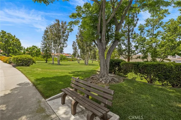 a view of a park with large trees