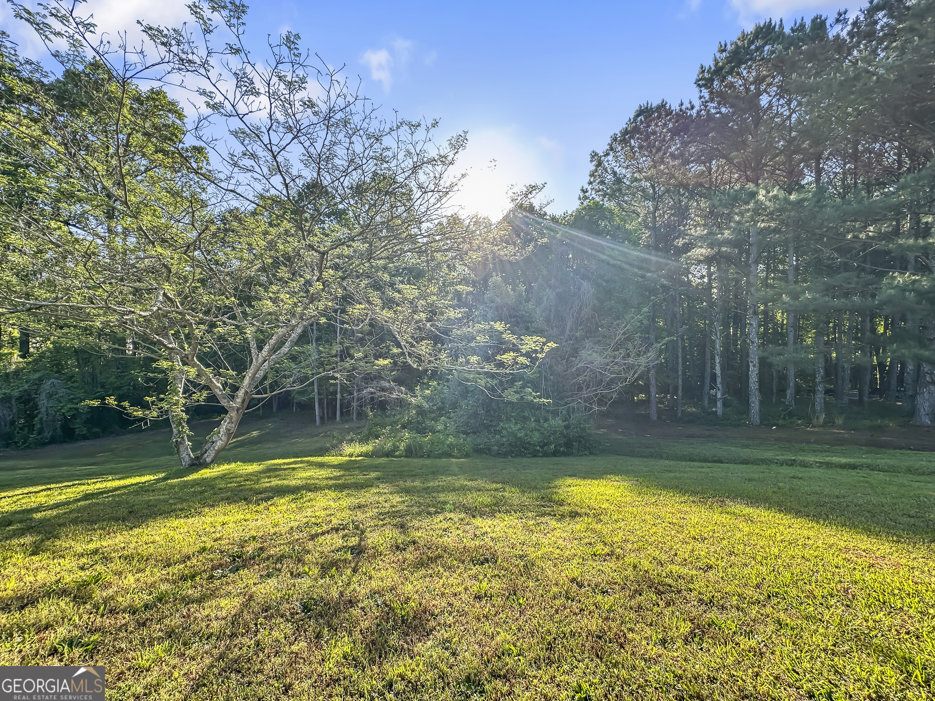 11084 Knotty Pine Place Hampton, GA 30228 - Photo 17 of 18 a view of a swimming pool with a big yard