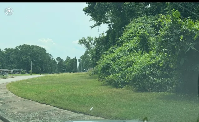 a view of grassy field with trees