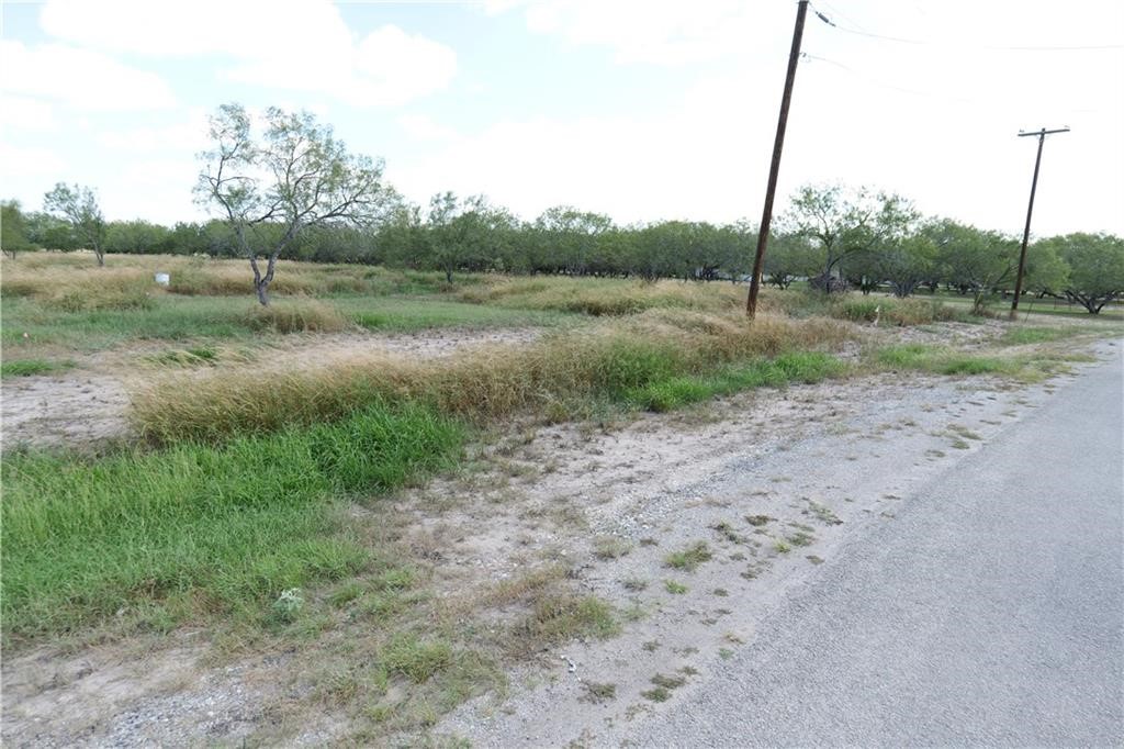 5960 Sweet Water Road Robstown, TX 78380 - Photo 6 of 12