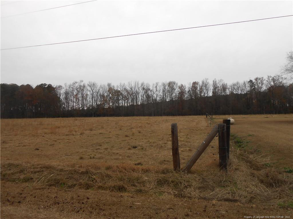 0 Nye Road Orrum, NC 28369 - Photo 2 of 4 a view of a lake