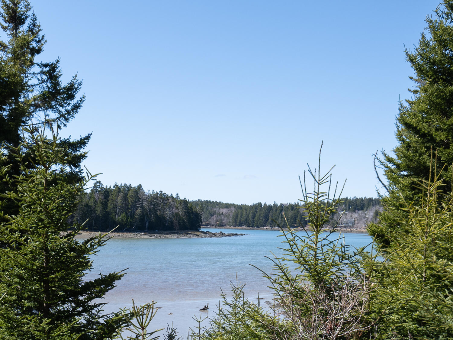 35 Minturn Road Swans Island, ME 04685 - Photo 24 of 32 View