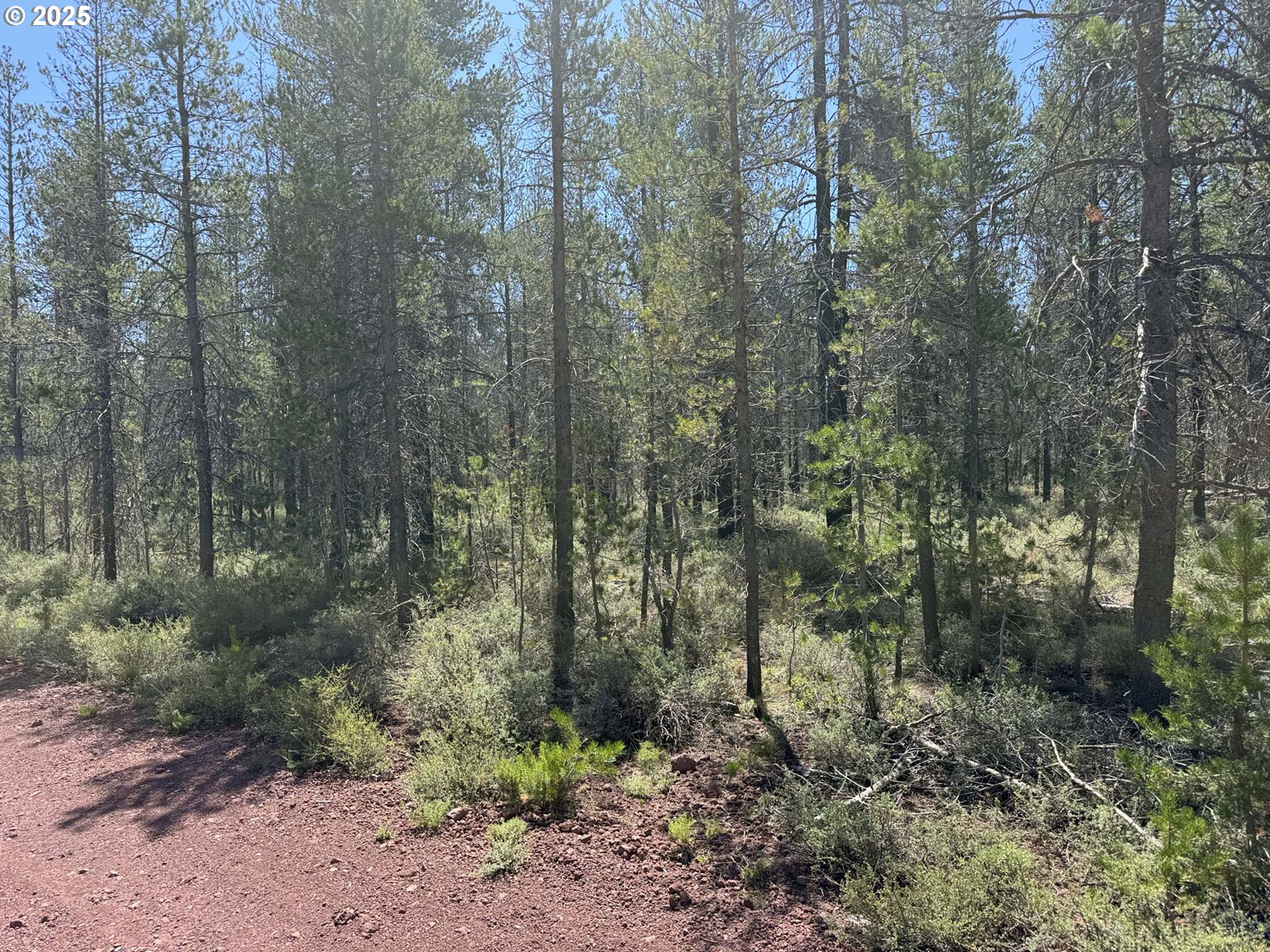Munson Drive, Unit 1 & 2 Chiloquin, OR 97624 - Photo 11 of 40