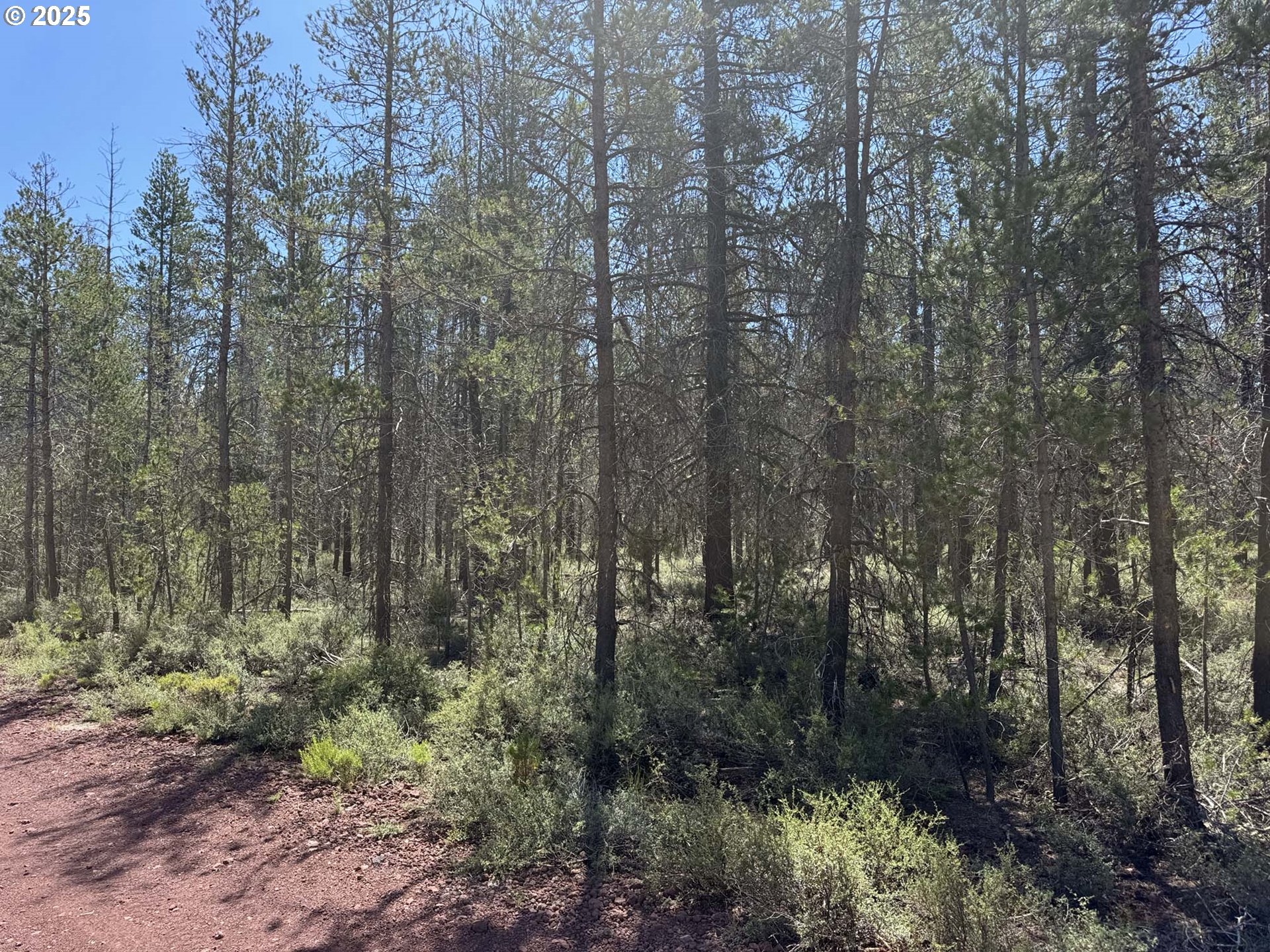 Munson Drive, Unit 1 & 2 Chiloquin, OR 97624 - Photo 13 of 40