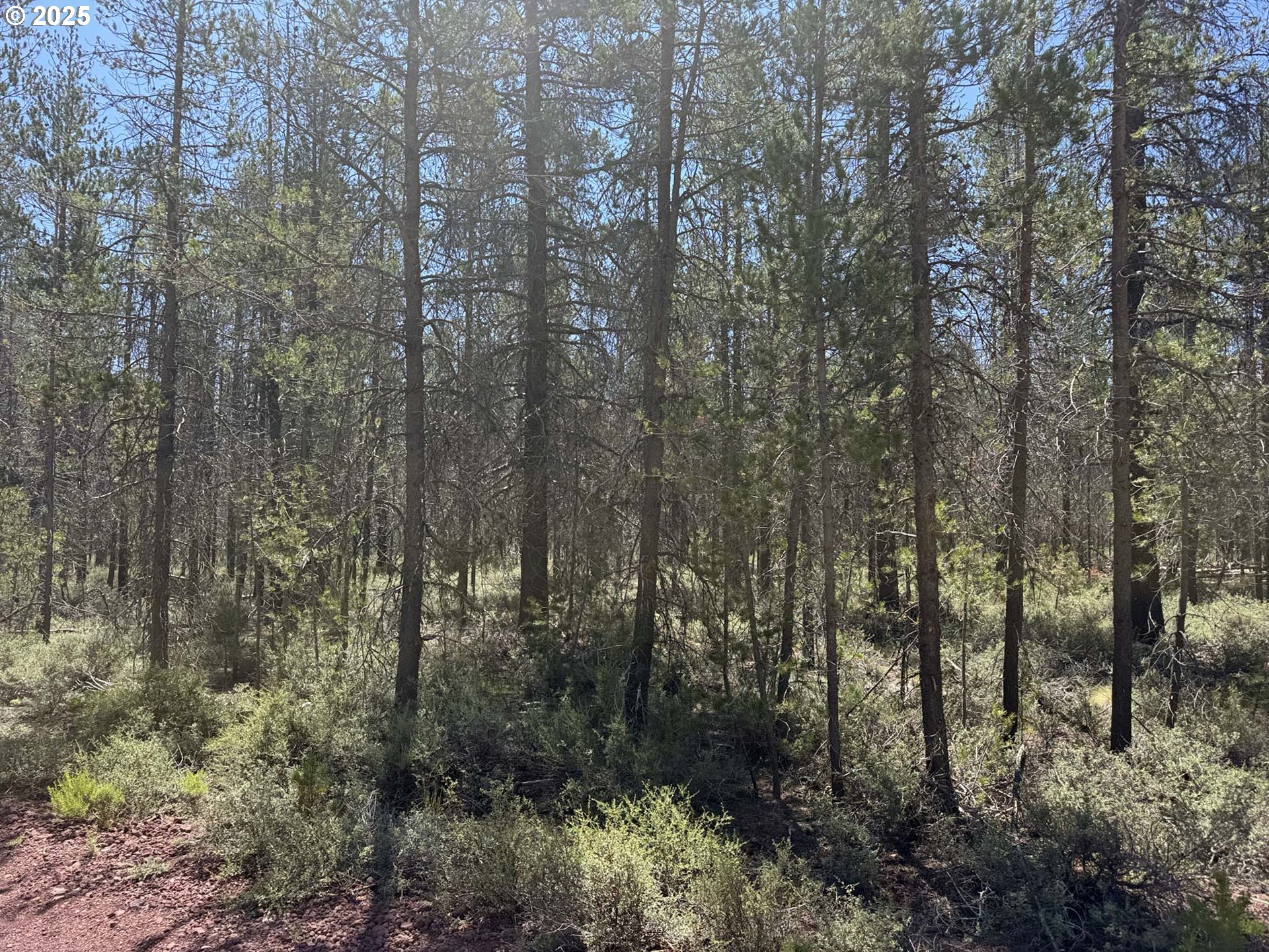 Munson Drive, Unit 1 & 2 Chiloquin, OR 97624 - Photo 14 of 40