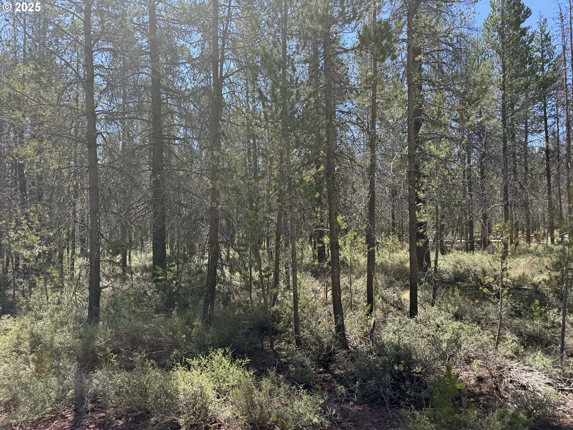 Munson Drive, Unit 1 & 2 Chiloquin, OR 97624 - Photo 15 of 40