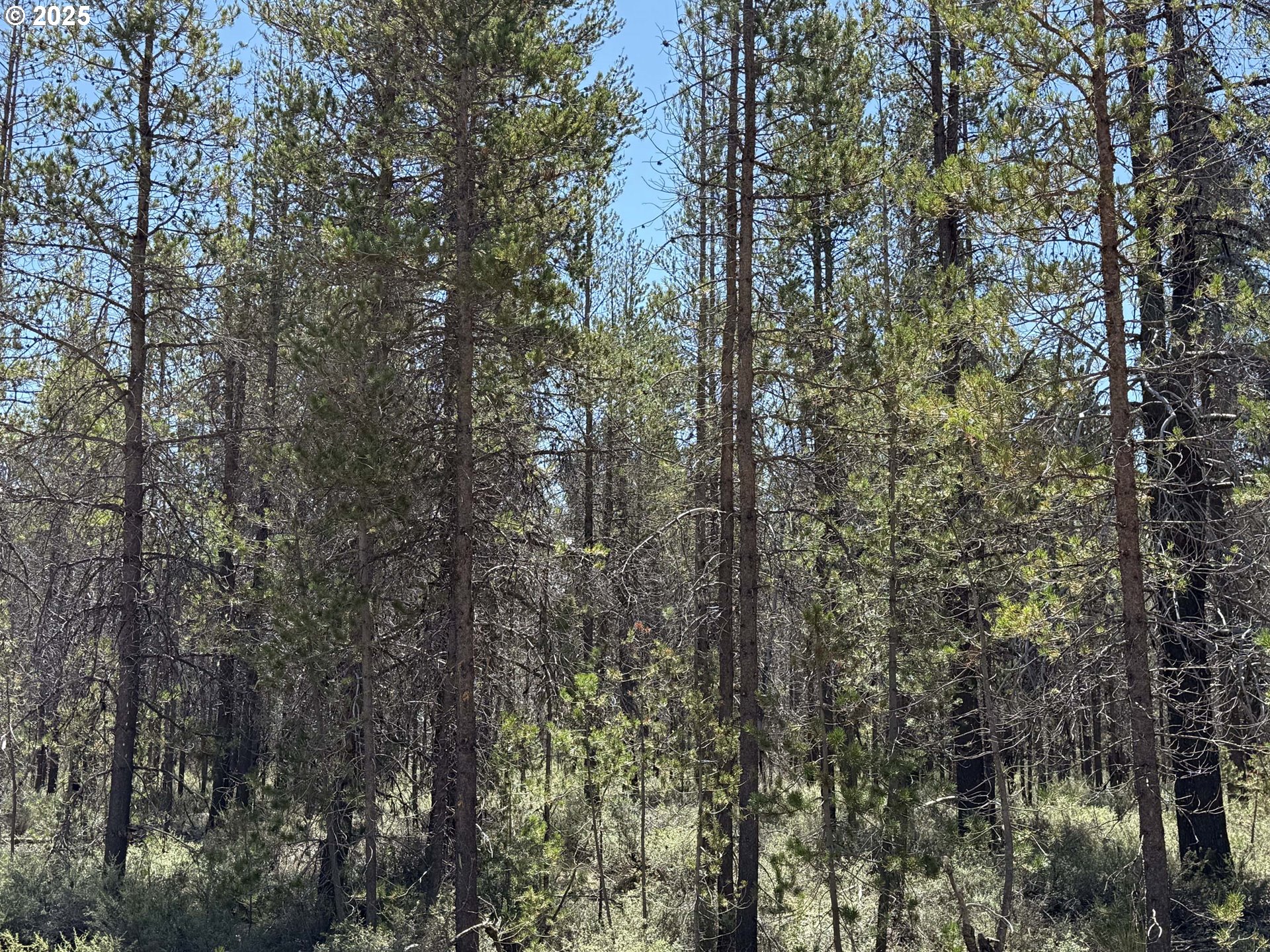 Munson Drive, Unit 1 & 2 Chiloquin, OR 97624 - Photo 27 of 40