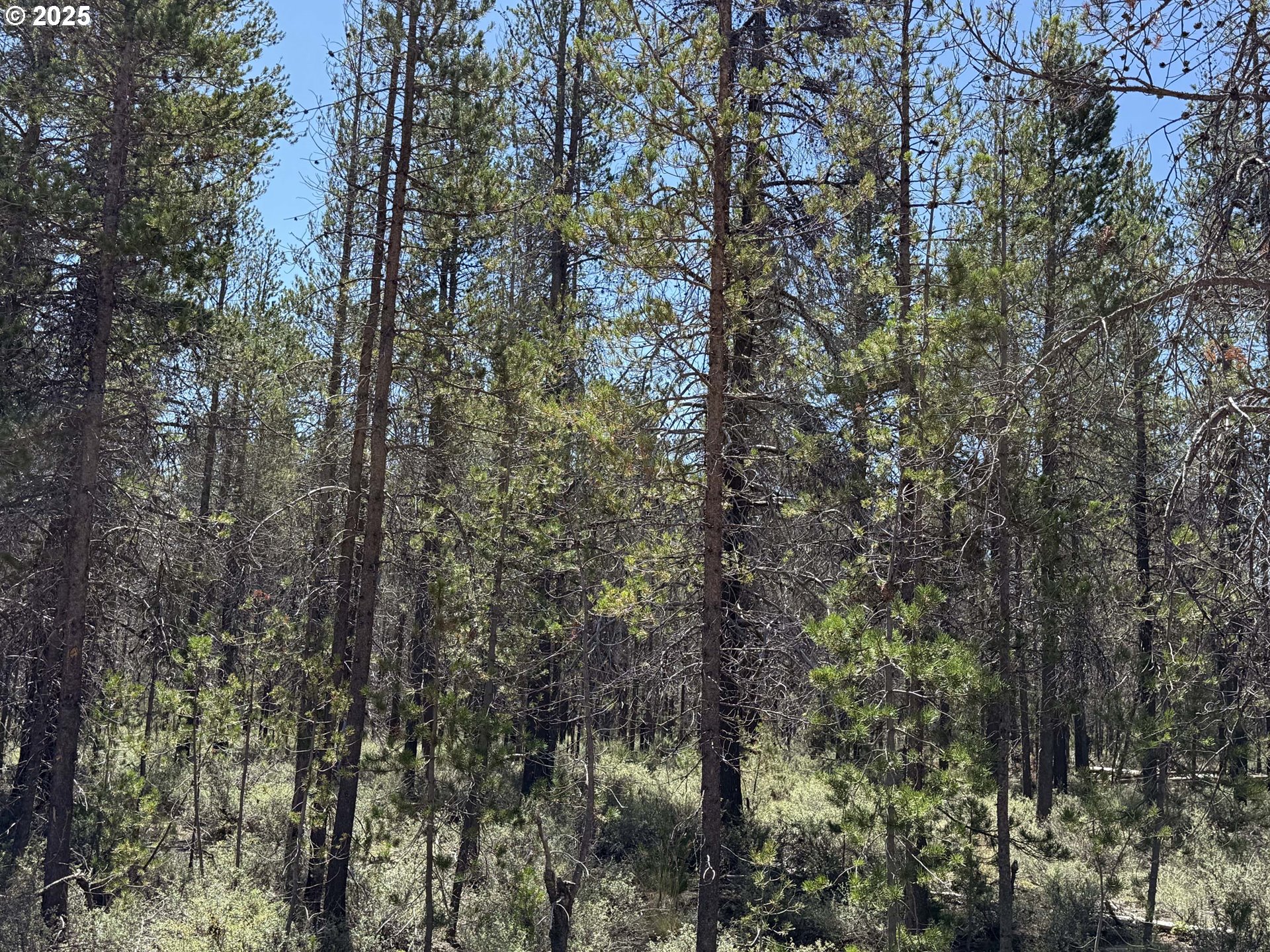 Munson Drive, Unit 1 & 2 Chiloquin, OR 97624 - Photo 29 of 40
