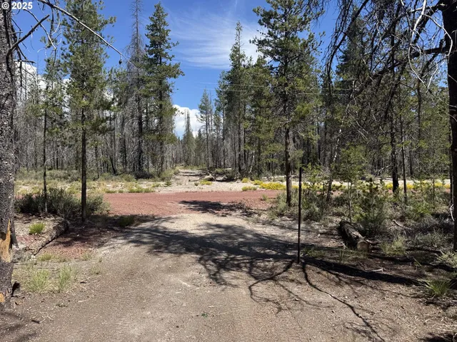 a view of road with trees