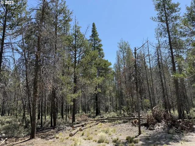 a view of outdoor space with trees