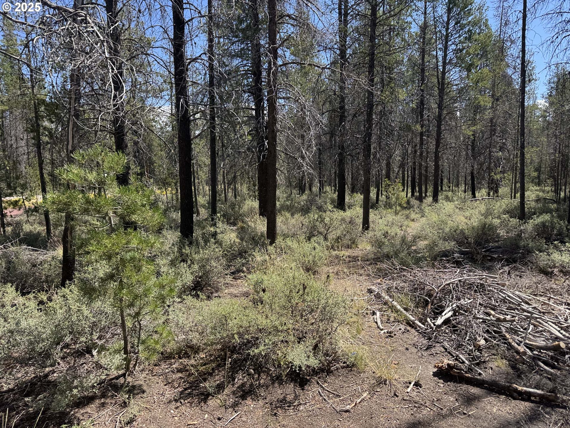 Munson Drive, Unit 1 & 2 Chiloquin, OR 97624 - Photo 4 of 40