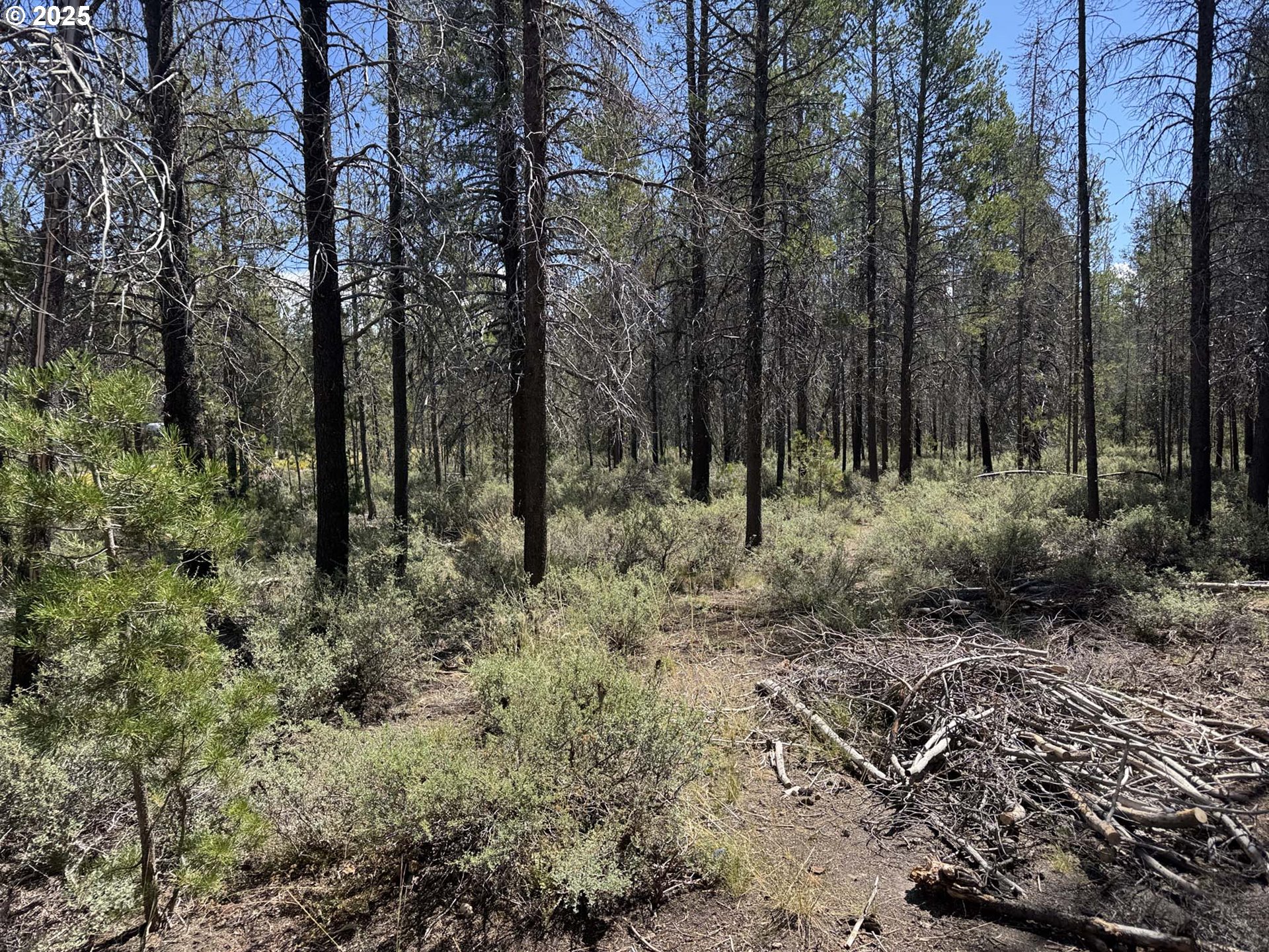 Munson Drive, Unit 1 & 2 Chiloquin, OR 97624 - Photo 5 of 40