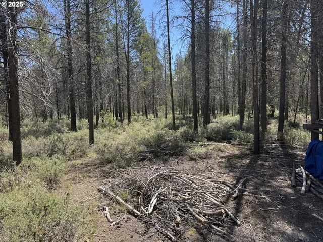 a view of backyard with green space