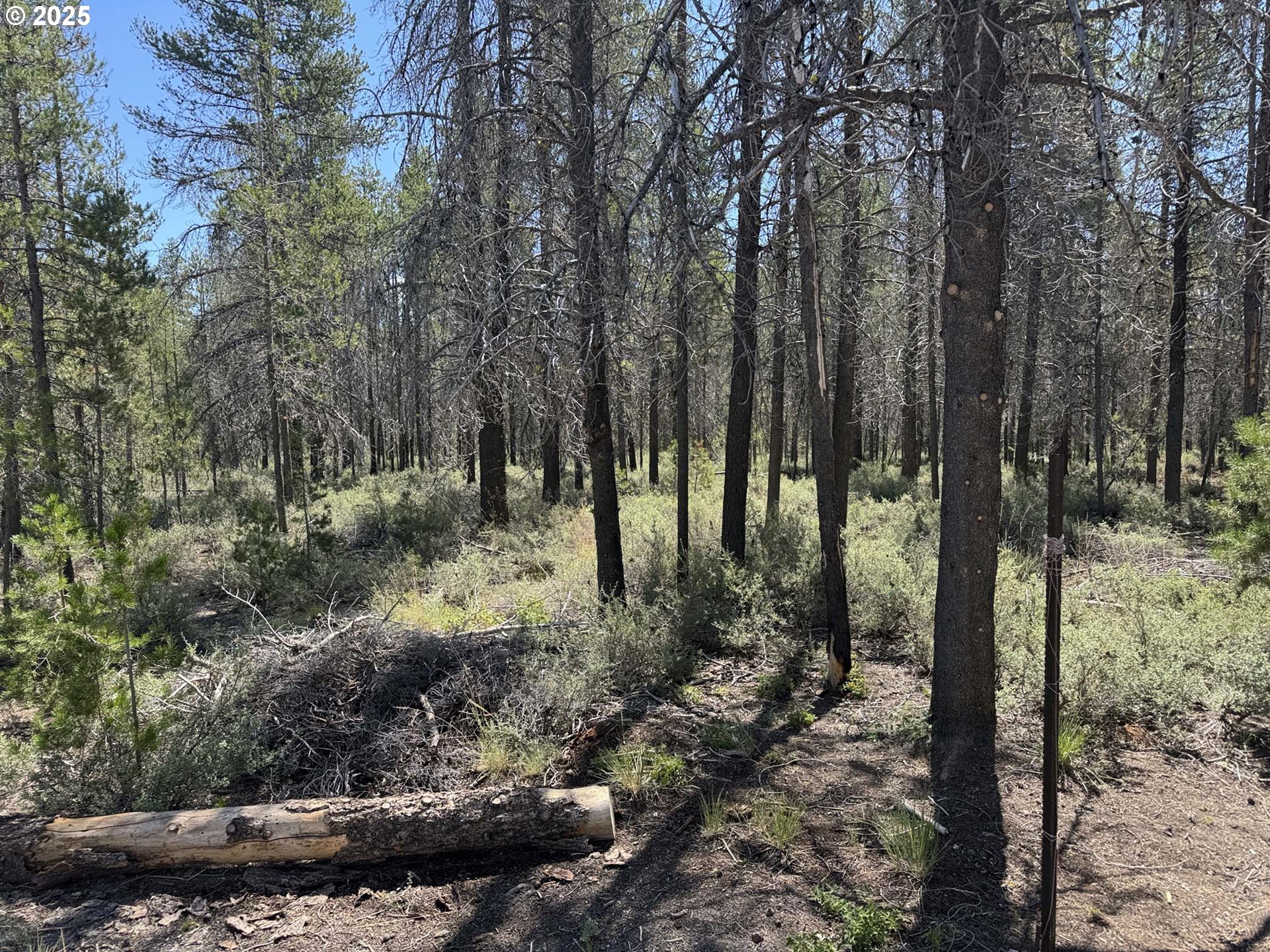 Munson Drive, Unit 1 & 2 Chiloquin, OR 97624 - Photo 8 of 40