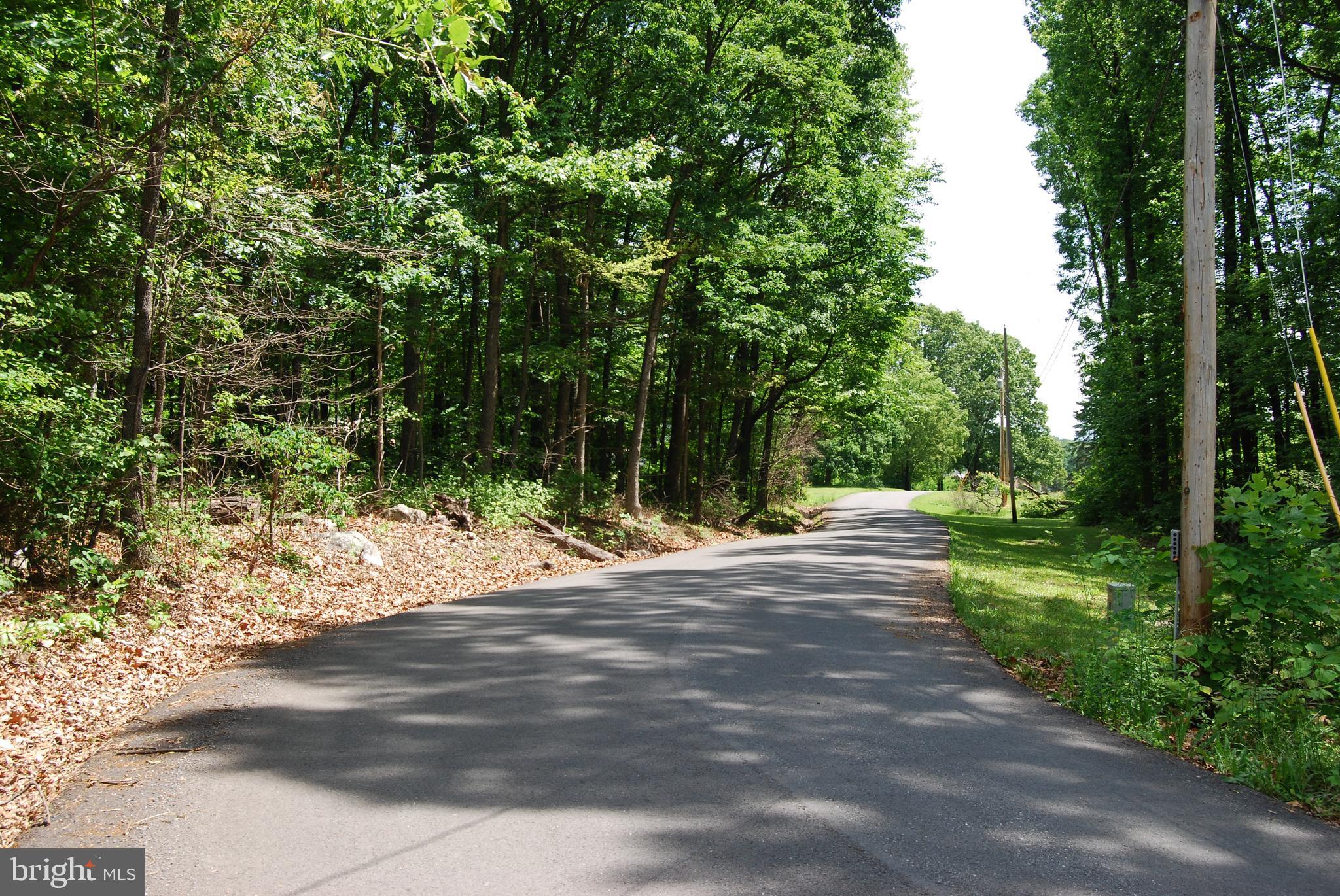 Loop Gerrardstown, WV 25420 - Photo 17 of 63 Gallery Image 17
