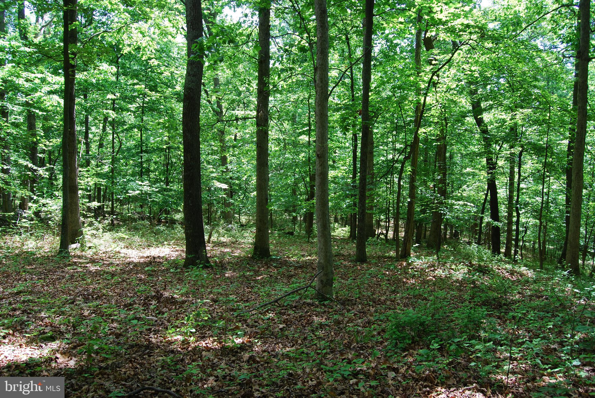 Loop Gerrardstown, WV 25420 - Photo 19 of 63 Gallery Image 19