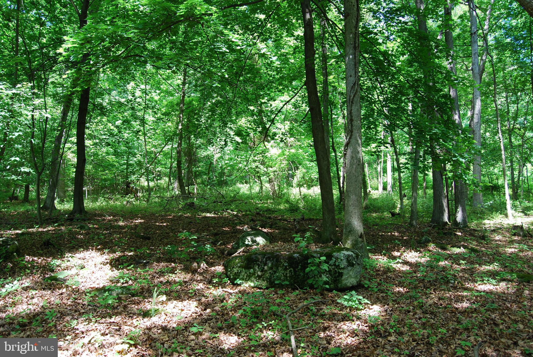 Loop Gerrardstown, WV 25420 - Photo 3 of 63 Gallery Image 3
