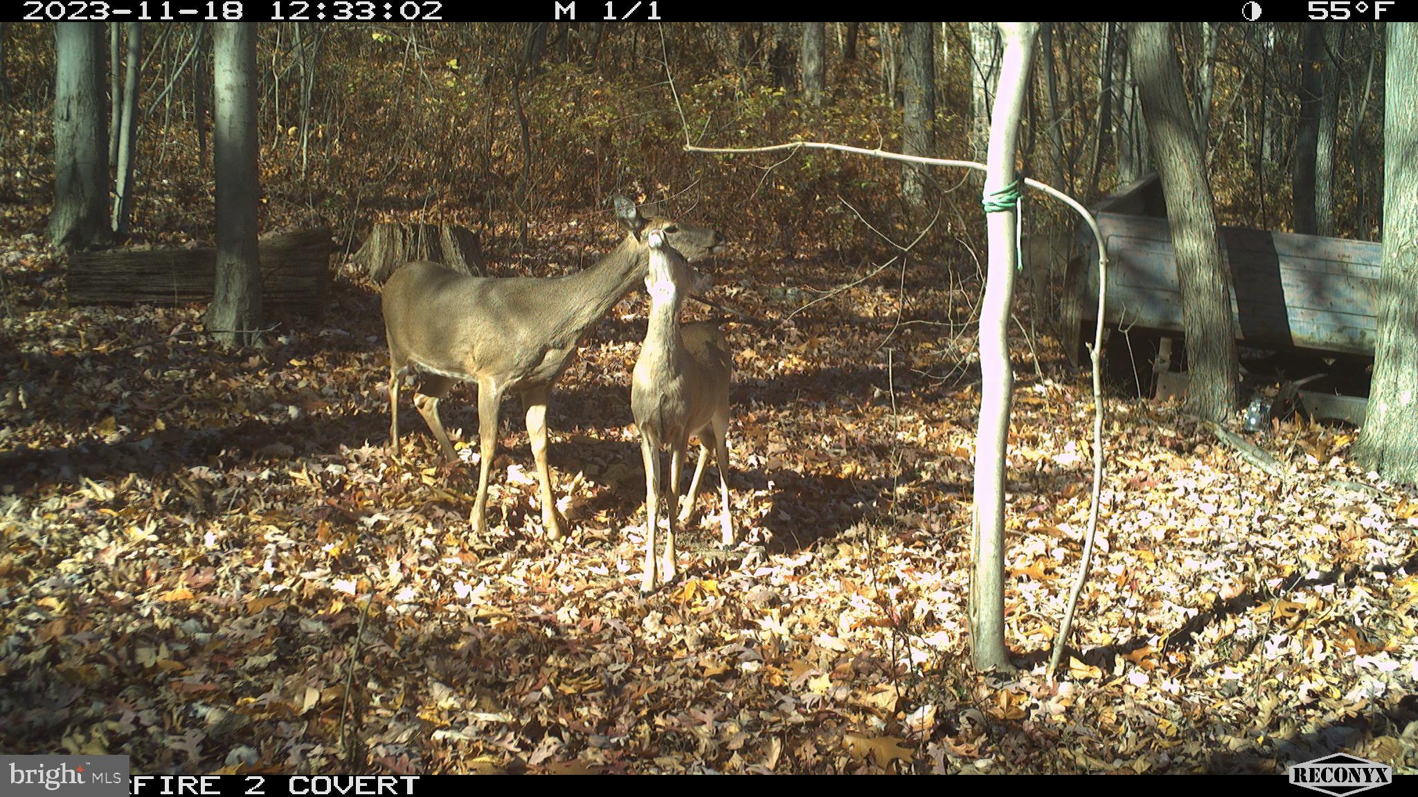 Loop Gerrardstown, WV 25420 - Photo 60 of 63 Gallery Image 60