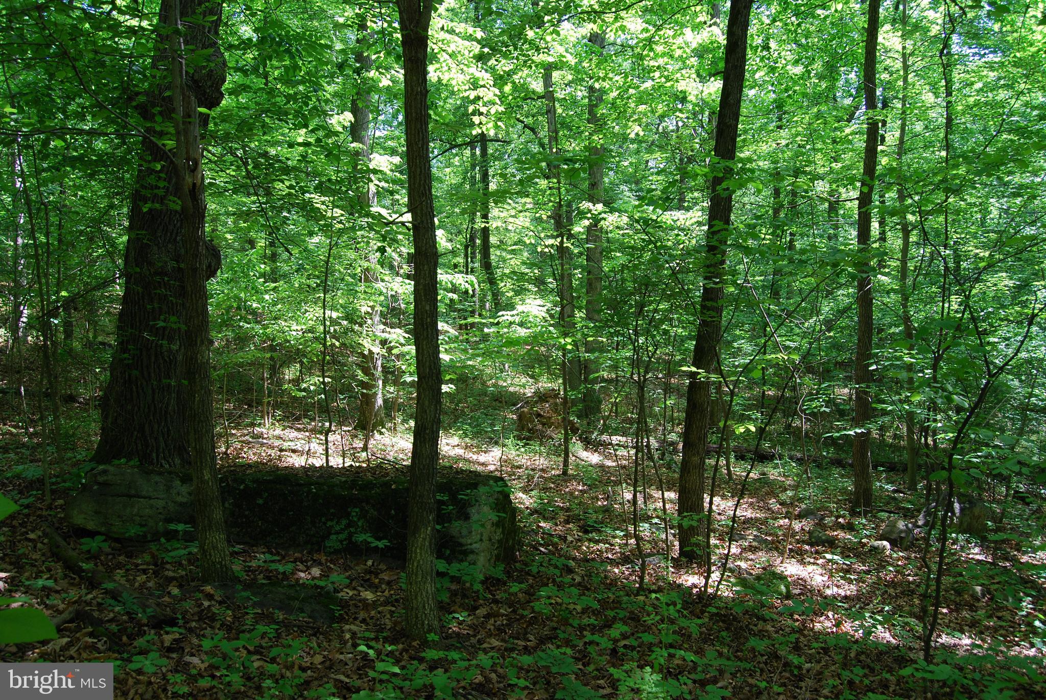 Loop Gerrardstown, WV 25420 - Photo 6 of 63 Gallery Image 6