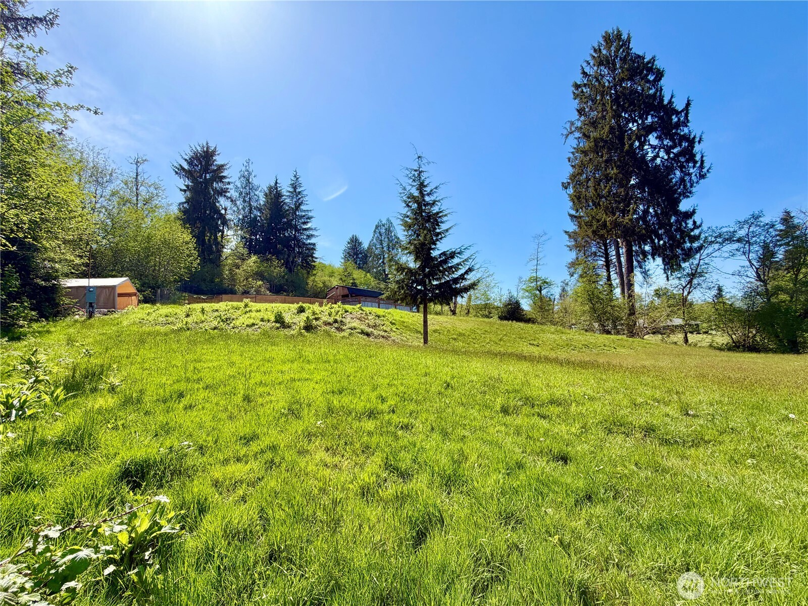 290 State Route 6 Raymond, WA 98577 - Photo 3 of 20