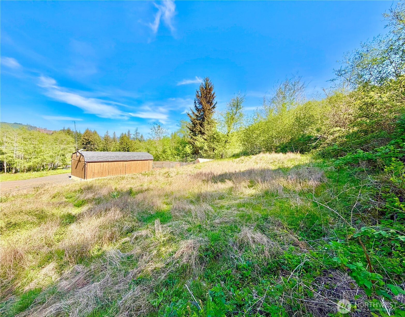 290 State Route 6 Raymond, WA 98577 - Photo 5 of 20