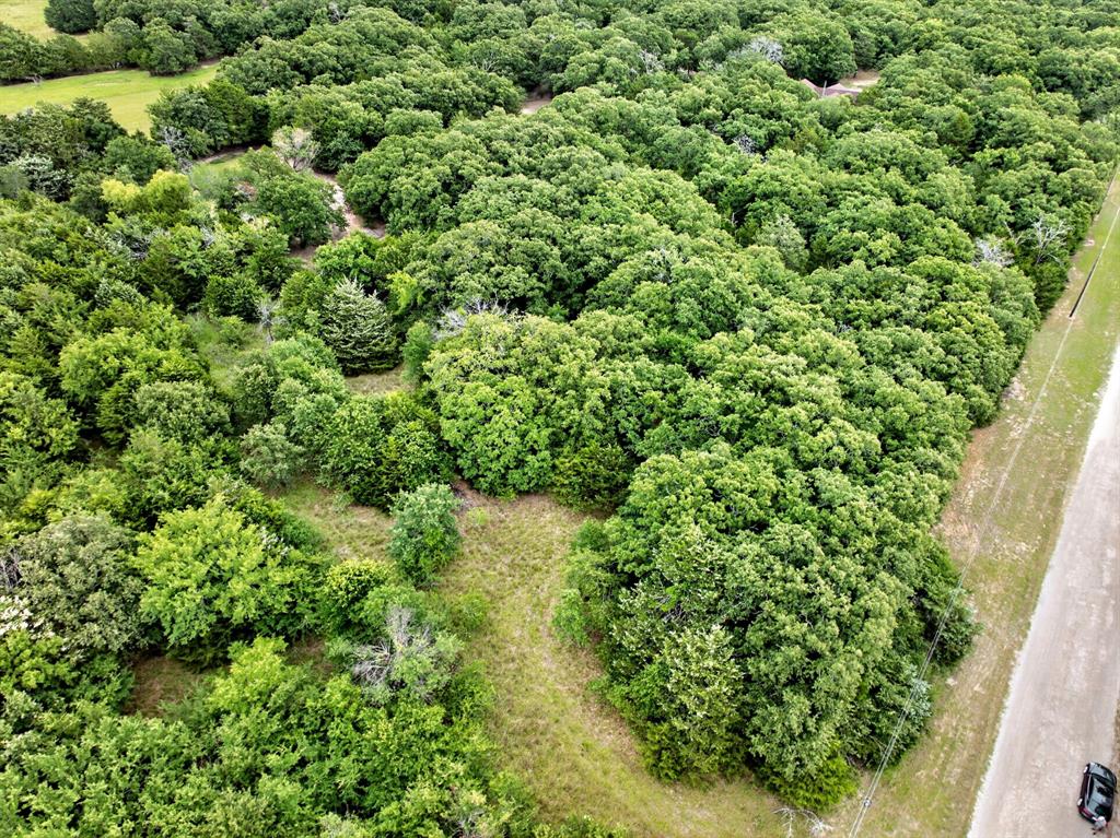 Tbd Woodland Estates Road Terrell, TX 75160 - Photo 5 of 22 view of a lush green forest with lots of trees