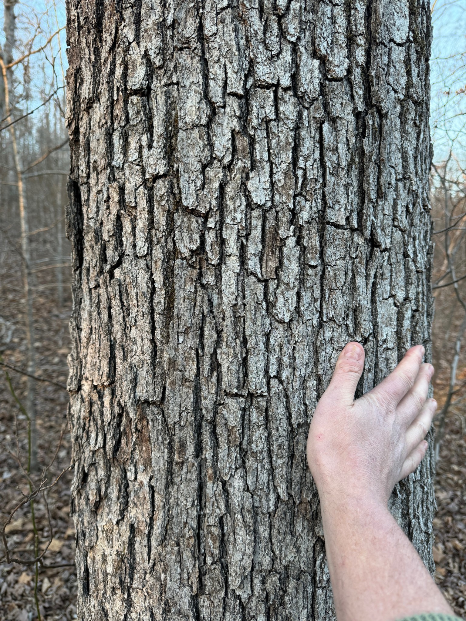 3900 Roan Creek Road Lobelville, TN 37097 - Photo 13 of 38 a close up of a white wall