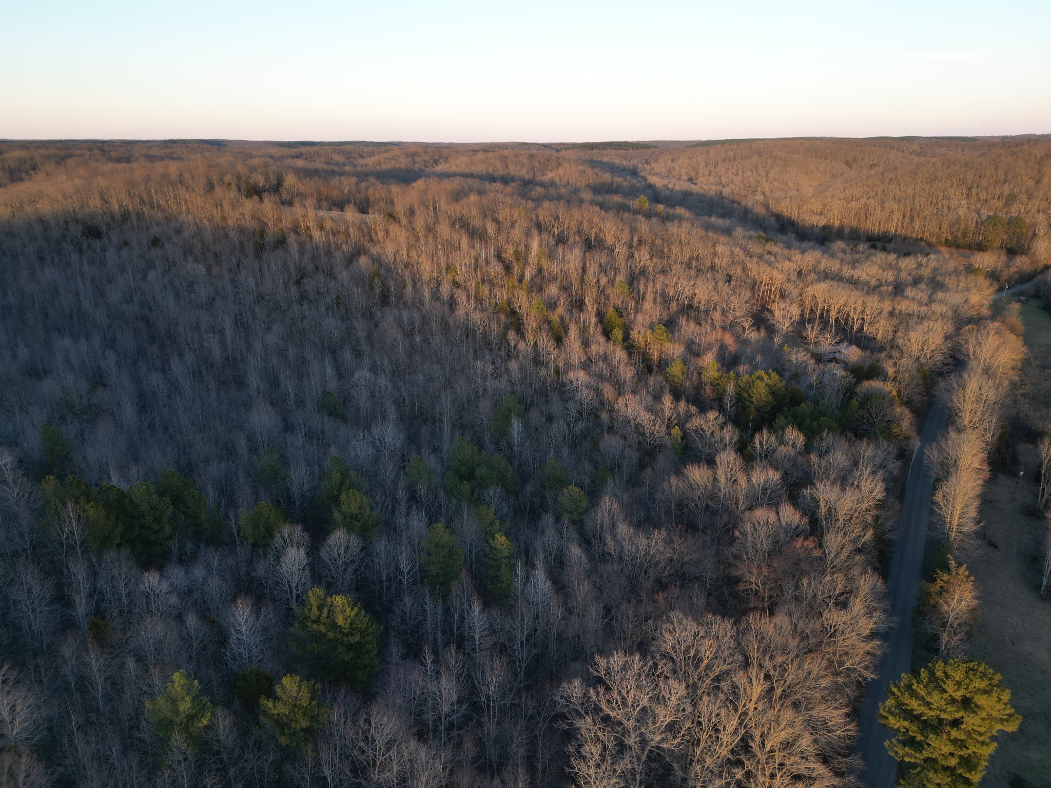 3900 Roan Creek Road Lobelville, TN 37097 - Photo 15 of 38 a view of a dry yard with trees