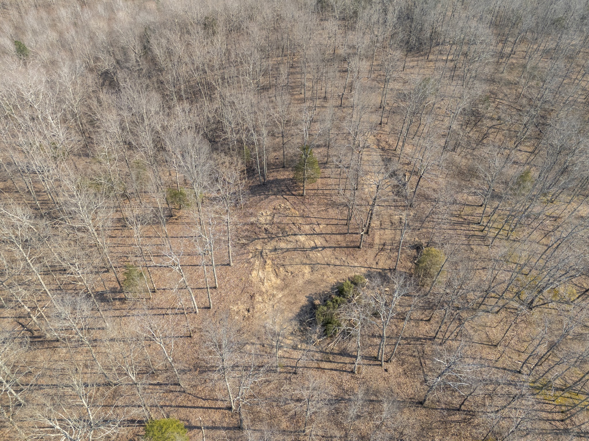 3900 Roan Creek Road Lobelville, TN 37097 - Photo 23 of 38 a brick wall with a shower in it