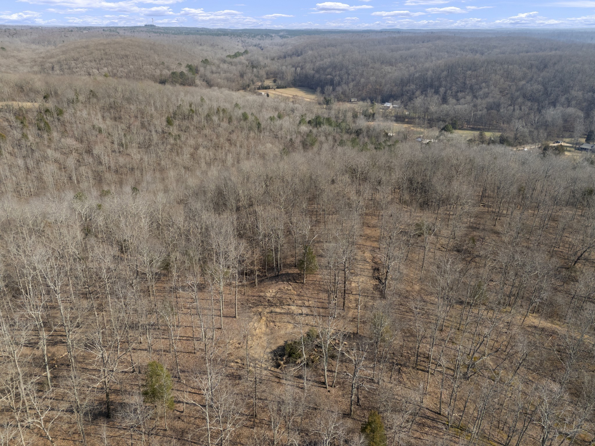 3900 Roan Creek Road Lobelville, TN 37097 - Photo 24 of 38 a view of a dry yard