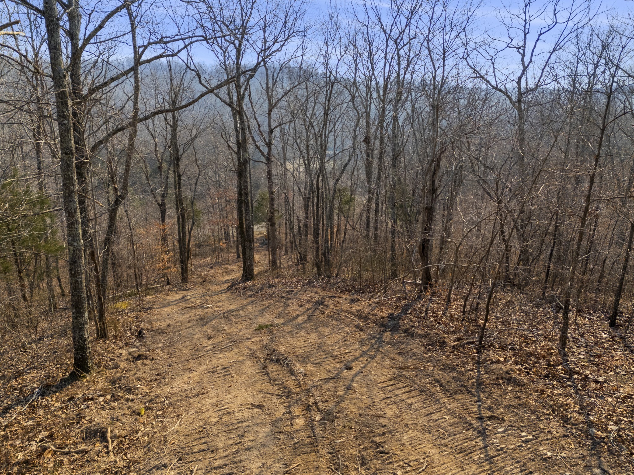3900 Roan Creek Road Lobelville, TN 37097 - Photo 25 of 38 a backyard of a house with lots of green space