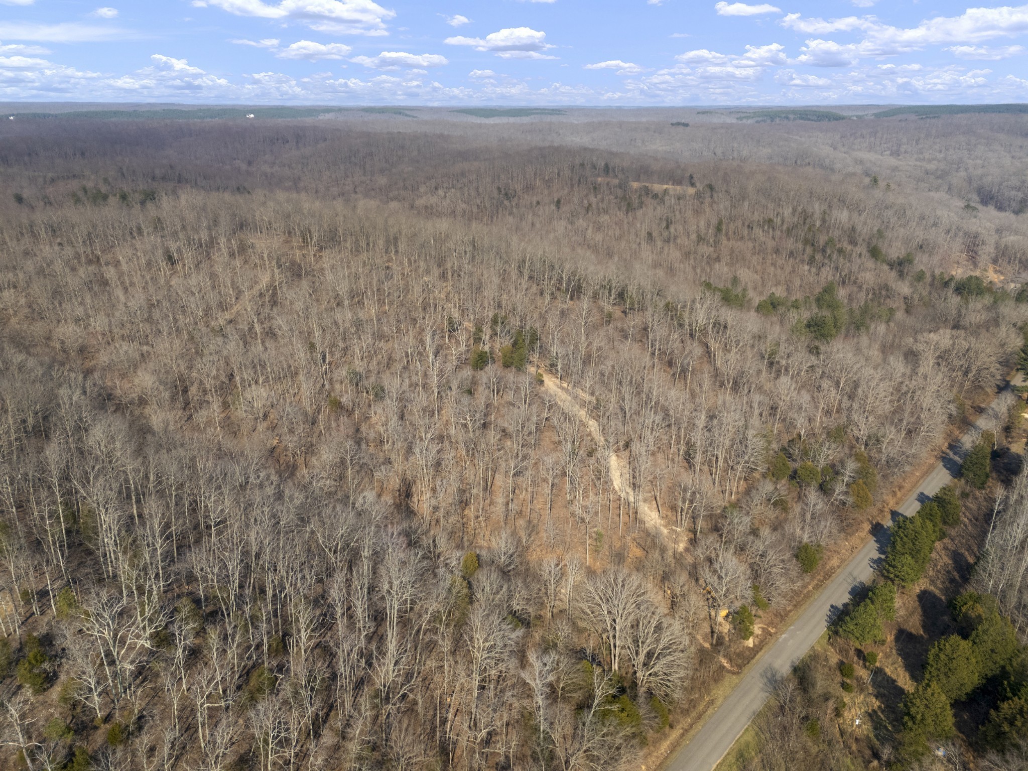 3900 Roan Creek Road Lobelville, TN 37097 - Photo 26 of 38 a view of a yard