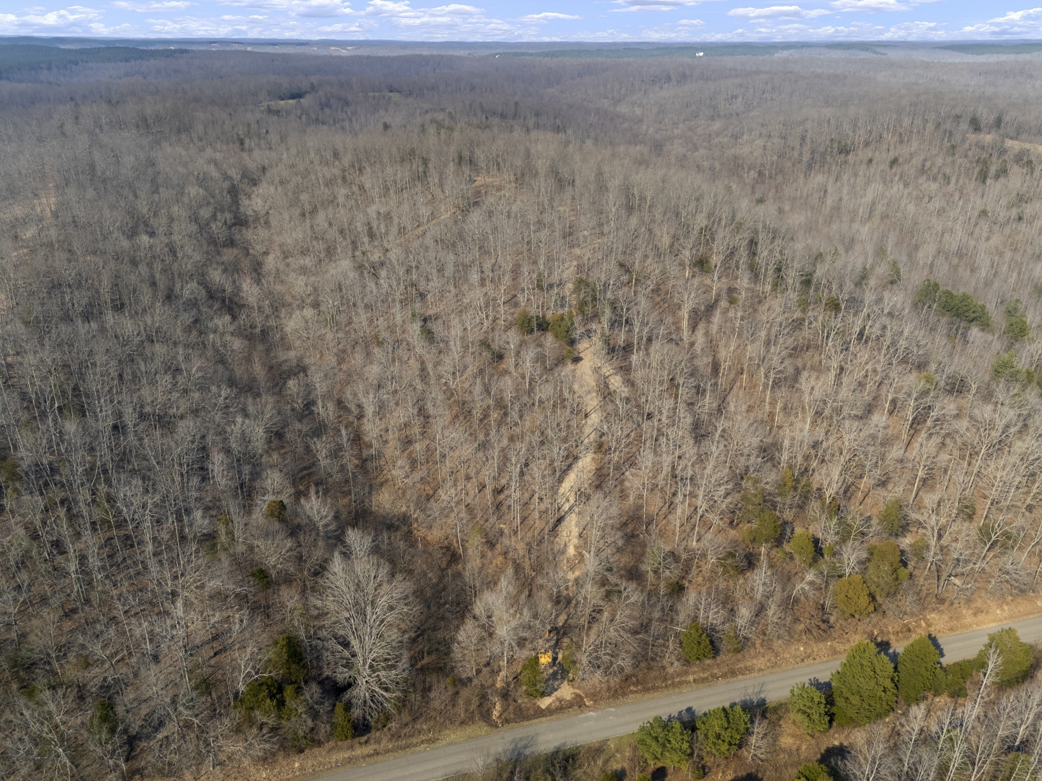 3900 Roan Creek Road Lobelville, TN 37097 - Photo 27 of 38 a view of a dry yard